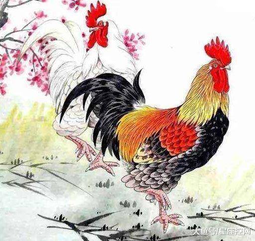 二一家里本田多，今乃九七身无居打一个正确生肖，全面解答解释落实_ed57.97.97